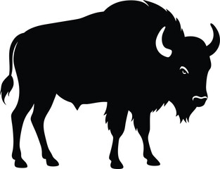 american bison vector illustration