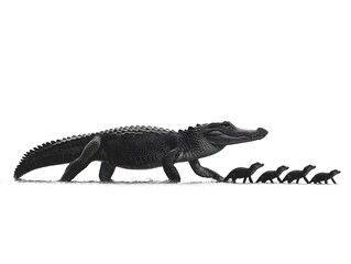 Fototapeta premium A large American alligator leads its small offsp across a pristine white background in a stunning black and white photograph.