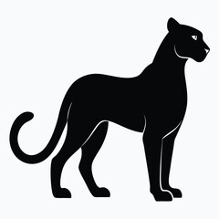 Wildlife Animal Silhouette 