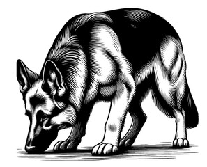 Hand drawn cute German Shepherd in full-body, vector sketch isolated on white background, SVG vector	