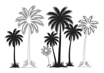 Obraz premium Palm Silhouette Serenade AI Generated
