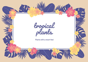 南国の植物C03　背景　A4横