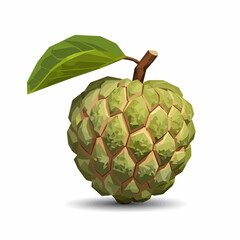 Polygonal style custard apple with leaf on white background. Close-up view