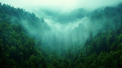 misty morning in the mountains