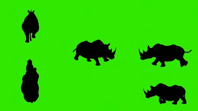 vector silhouettes rhinoceros walking on green background 