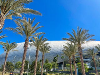 palm trees at Sofi Stadium