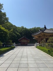 Korean Buddhist Temple in the Forest with Majestic Mountain in the Background