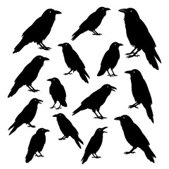 Obraz premium Raven's Shadow Dance