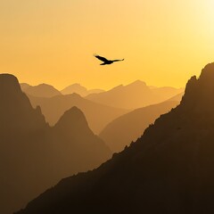 Fototapeta premium Golden Hour Ascent