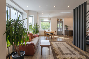 Modern house living room interior indoors