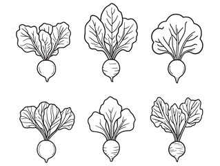 Beetroot Food Line Art Simple Outline Style Vector