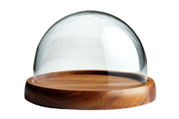 Glass dome on wood display