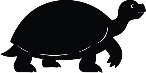 turtle vector illustration