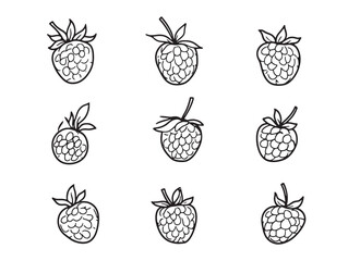 Elegant berry line art perfect for modern branding