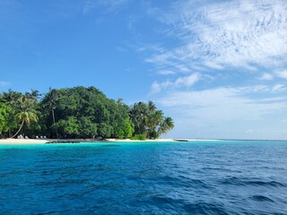 Vibrant Tropical Island Getaway: Lush Palms, White Beach, and Azure Ocean Waters