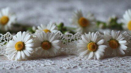 Obraz premium Delicate Daisies on Lace
