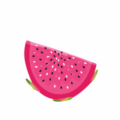 Illustrated slice of watermelon. Pink flesh and black seeds are on a white background