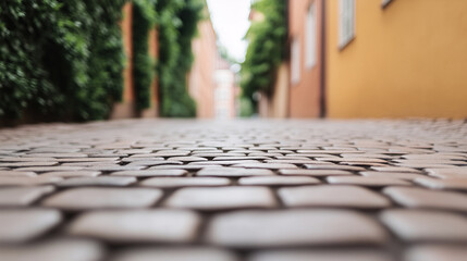 Cobblestone street in a city with urban textures