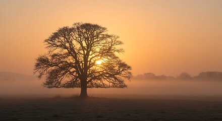 Golden Hour Sentinel