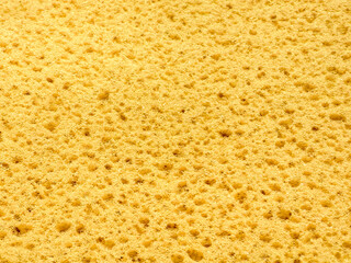 Close up of a porous yellow sponge texture with warm tone. Abstract macro Sponge textures for background. Close up yellow natural sponge texture. Abstract porous background.