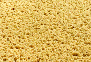 Close up of a porous yellow sponge texture with warm tone. Abstract macro Sponge textures for background. Close up yellow natural sponge texture. Abstract porous background.
