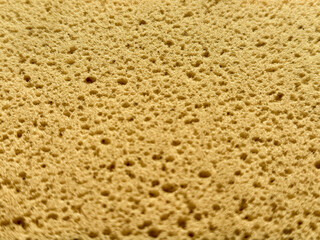 Close up of a porous yellow sponge texture with warm tone. Abstract macro Sponge textures for background. Close up yellow natural sponge texture. Abstract porous background.