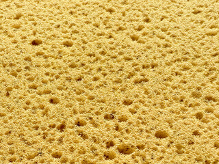 Close up of a porous yellow sponge texture with warm tone. Abstract macro Sponge textures for background. Close up yellow natural sponge texture. Abstract porous background.