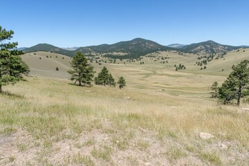Obraz premium Vast grassland valley, mountain backdrop