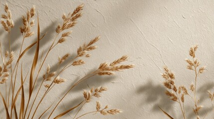 Beige wall decor with dried grasses and shadows