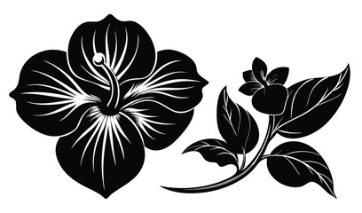 Stylized Orchid And Lily Vector Image Contemporary Art