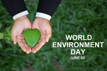Environment Earth Day.Green Energy, ESG, Environmental Care.  businessman hands embracing Heart-shaped leaves on a green Background. Protecting Planet. Save Earth. World Environment Day.Top View