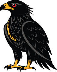 eagle on a white background