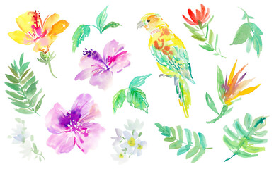PNG illustration set of abstract watercolor hibiscus flowers, tropical plants, monstera leaves, and parrots. Hand-painted tropical botanical clipart set with exotic plants and bird.