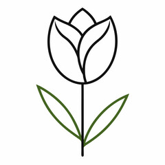 Obraz premium vector illustration of a plant