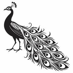 Fototapeta premium peacock feather vector illustration