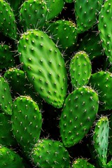 Vibrant Green Prickly Pear Cactus Pads Close Up