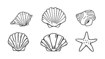 Collection set of beach seashells line art sketch