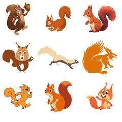 Fototapeta premium Squirrel vector Image 1