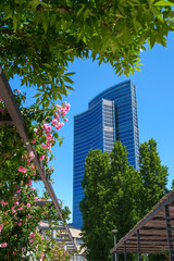 Fototapety na wymiar - Fototapeta24.pl