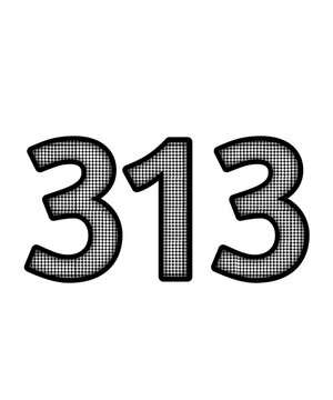 Black and white color numbers 313