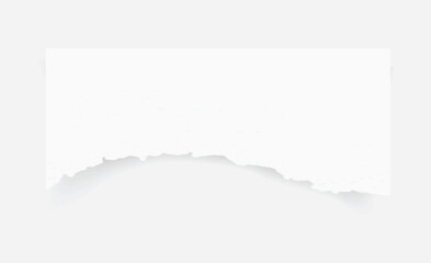 Torn paper edges. Ripped paper texture. Paper tag. White paper sheet for background. Vector illustration.