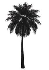 Midnight Palm Silhouette AI Generated