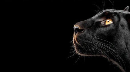 Close-up of a panther's face against a dark background.