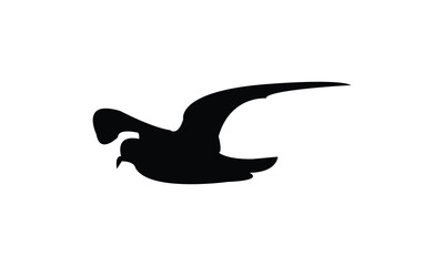 Flying Ainley's storm petrel bird Silhouette Design  And Vector Illustration. 