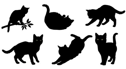 Midnight Feline Frolics AI Generated