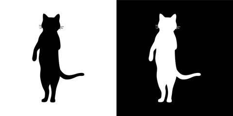 Mysterious Cat Profile Variation 