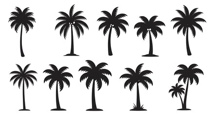 Obraz premium Palm Silhouette Collection AI Generated