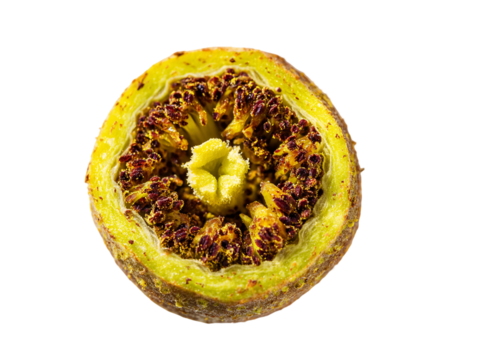 Cross Section of a Yellow Green Fruit with Red Brown Center, PNG