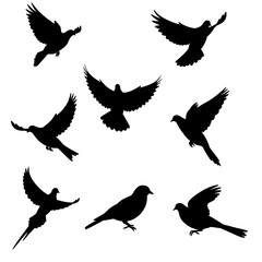 Obraz premium Flight of Shadows