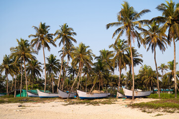 Boats on Colva beach Goa, South India, palm trees on tropical island, west coast, Arabian Sea in Asia, travel destination